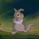 thumper